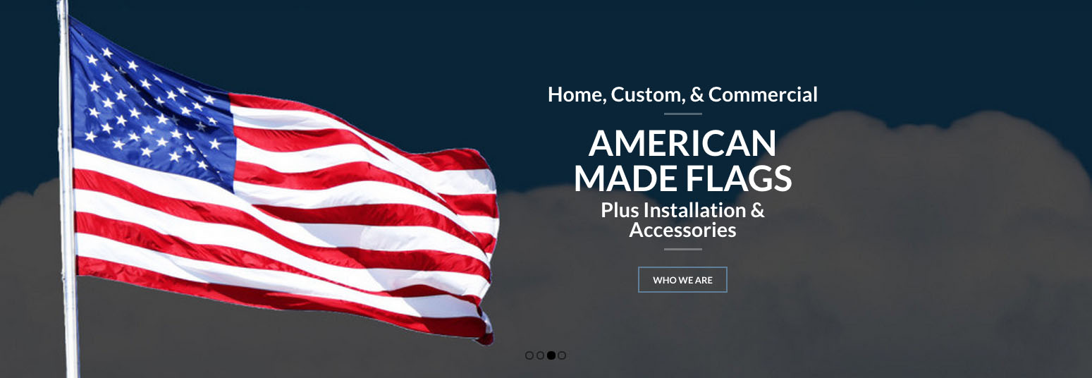 Random Penguin Photo